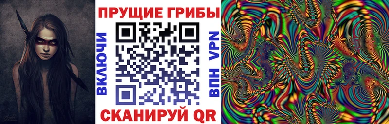 Псилоцибиновые грибы Psilocybine cubensis  Лангепас 