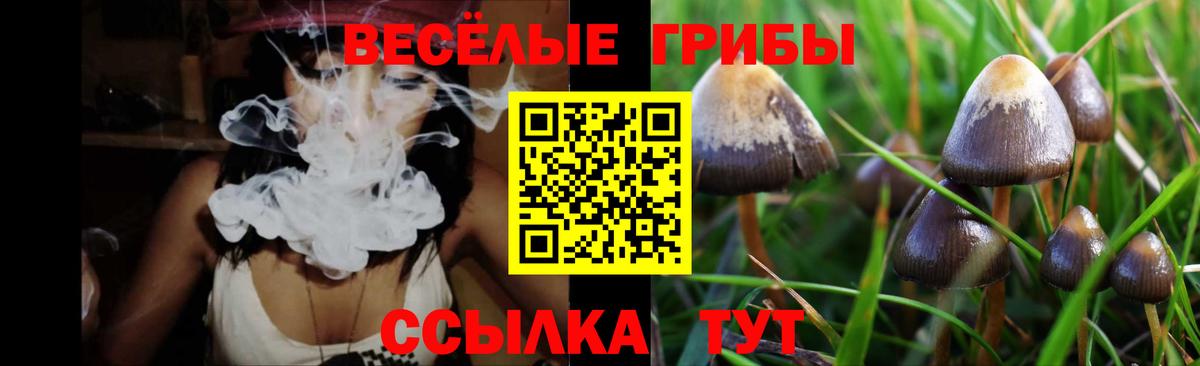 Лангепас  Галлюциногенные грибы MAGIC MUSHROOMS  Вход с VPN  Псилоцибиновые грибы Magic Shrooms 