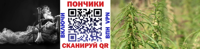 Конопля White Widow хочу Лангепас